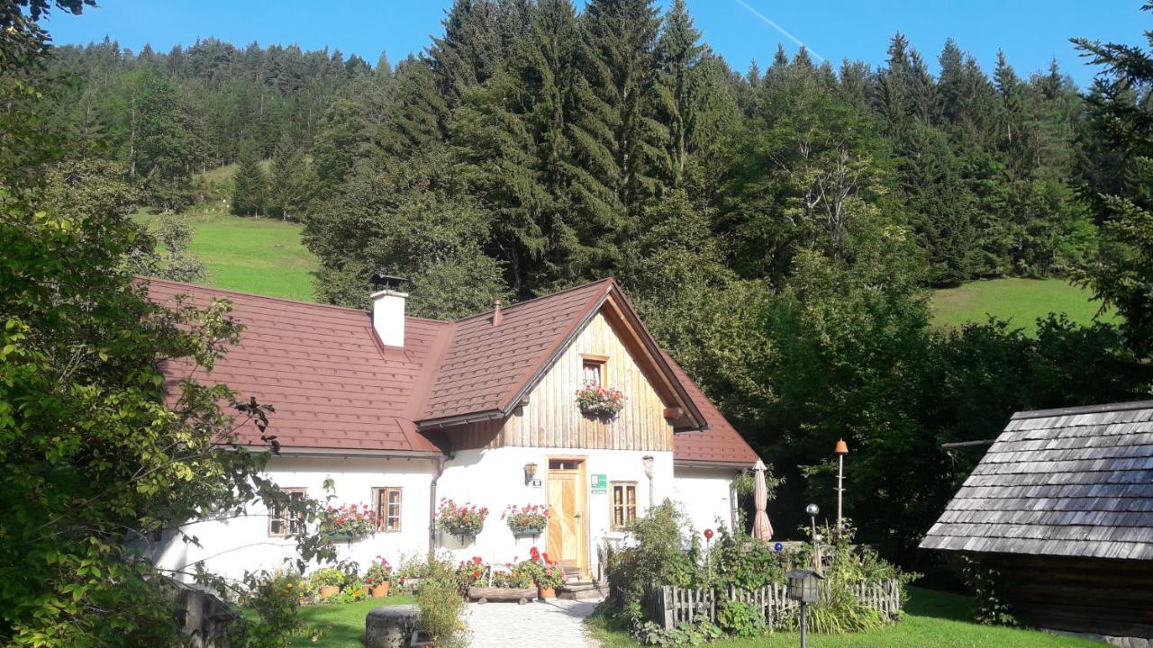 Ferienhaus Lenzau Strohmarkt Ngoại thất bức ảnh